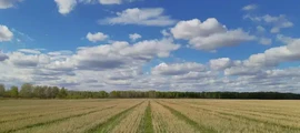 Певек : аренда частного самолета