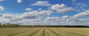 Тюменское Рощино: аренда частного самолета