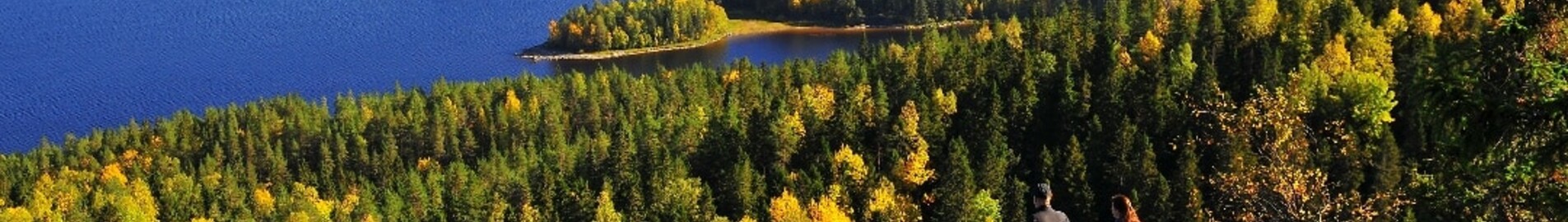 Варкаус: аренда частного самолета 