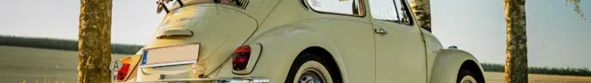 Вельс : аренда частного самолета