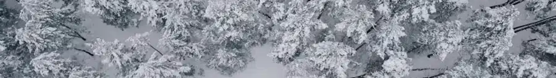 Жуляны : аренда частного самолета