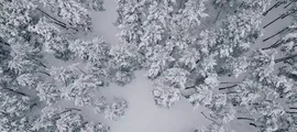 Одесса: аренда частного самолета