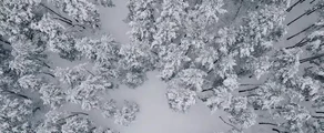 Жуляны : аренда частного самолета