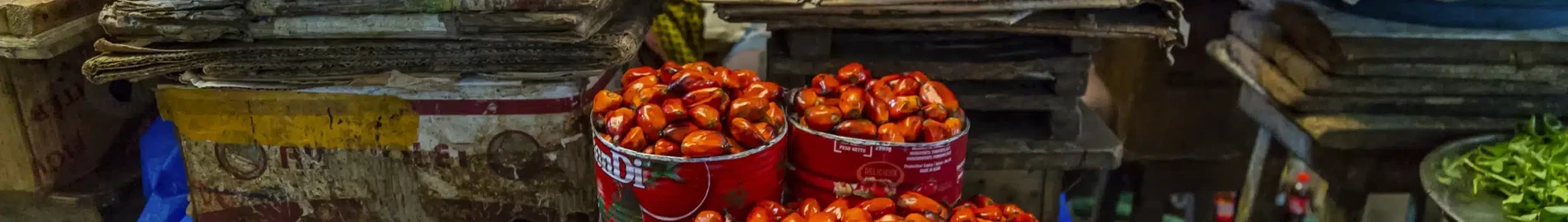 Корхого : аренда частного самолета