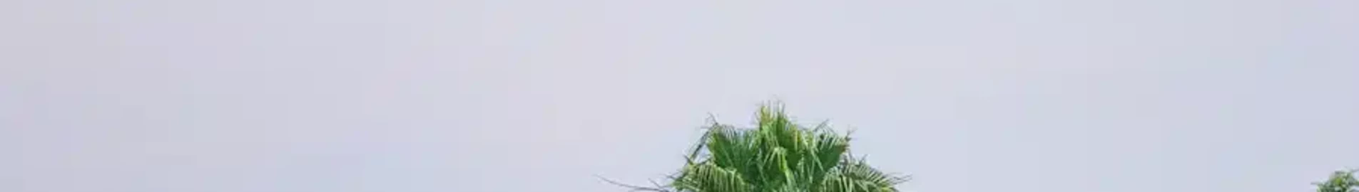 Бута Зега : аренда частного самолета