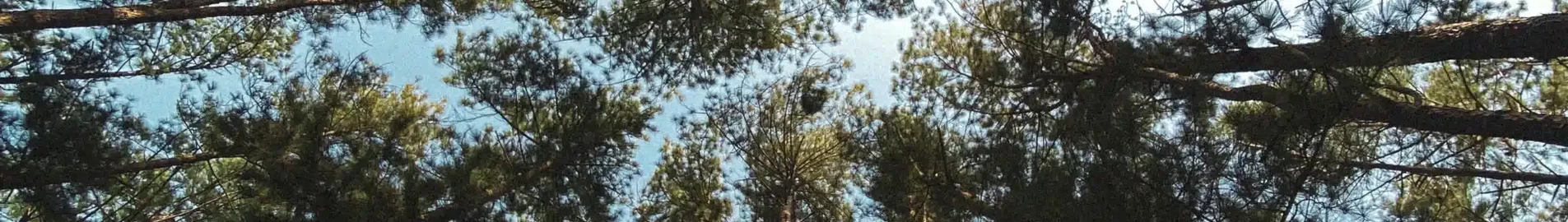 Оверри Имо Сити : аренда частного самолета 