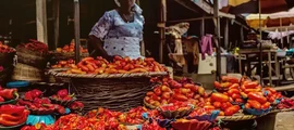 Порт-Харкорт: аренда частного самолета