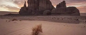 Аренда частного самолета Алжир