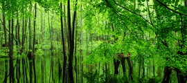 Дрезден: аренда частного самолета 