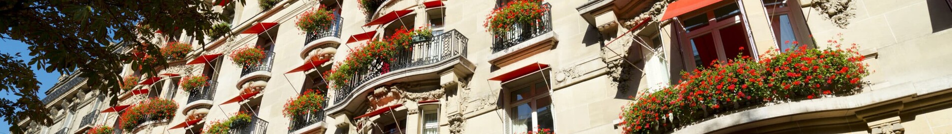 Роскошный отель в Париже: отдых мечты в Hôtel Plaza Athénée
