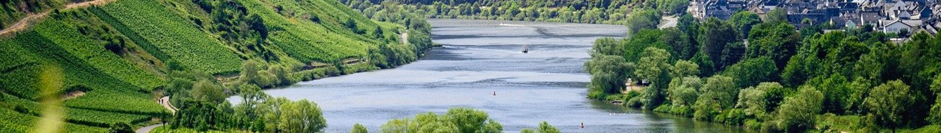Европейские виноградники, которые можно посетить на частном самолете
