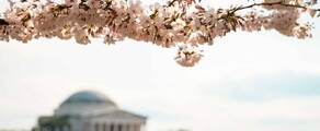 Лас-Вегас - Вашингтон : аренда частного самолета