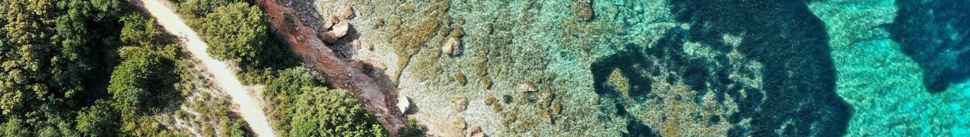 Франкфурт - Ольбия : аренда частного самолета