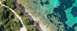 Франкфурт - Ольбия : аренда частного самолета