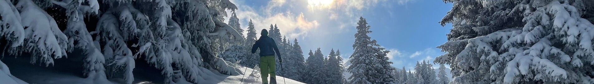 Горнолыжные направления, куда можно добраться на частном самолете