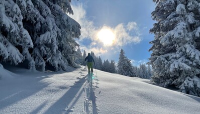 Горнолыжные направления, куда можно добраться на частном самолете