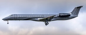 ERJ 145 VIP: аренда частного самолета