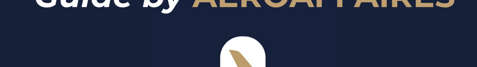 Руководство для авиаброкера AEROAFFAIRES